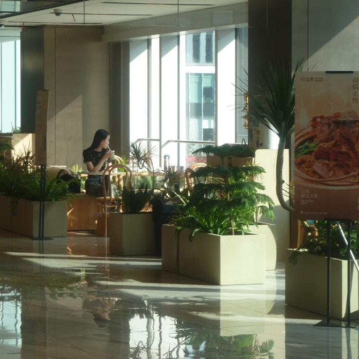 Dining out as an expat family in France